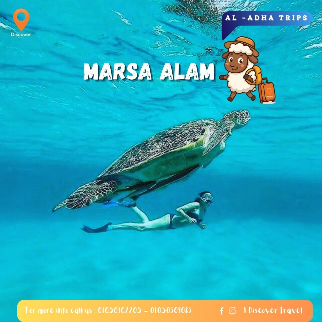 marsa allam
