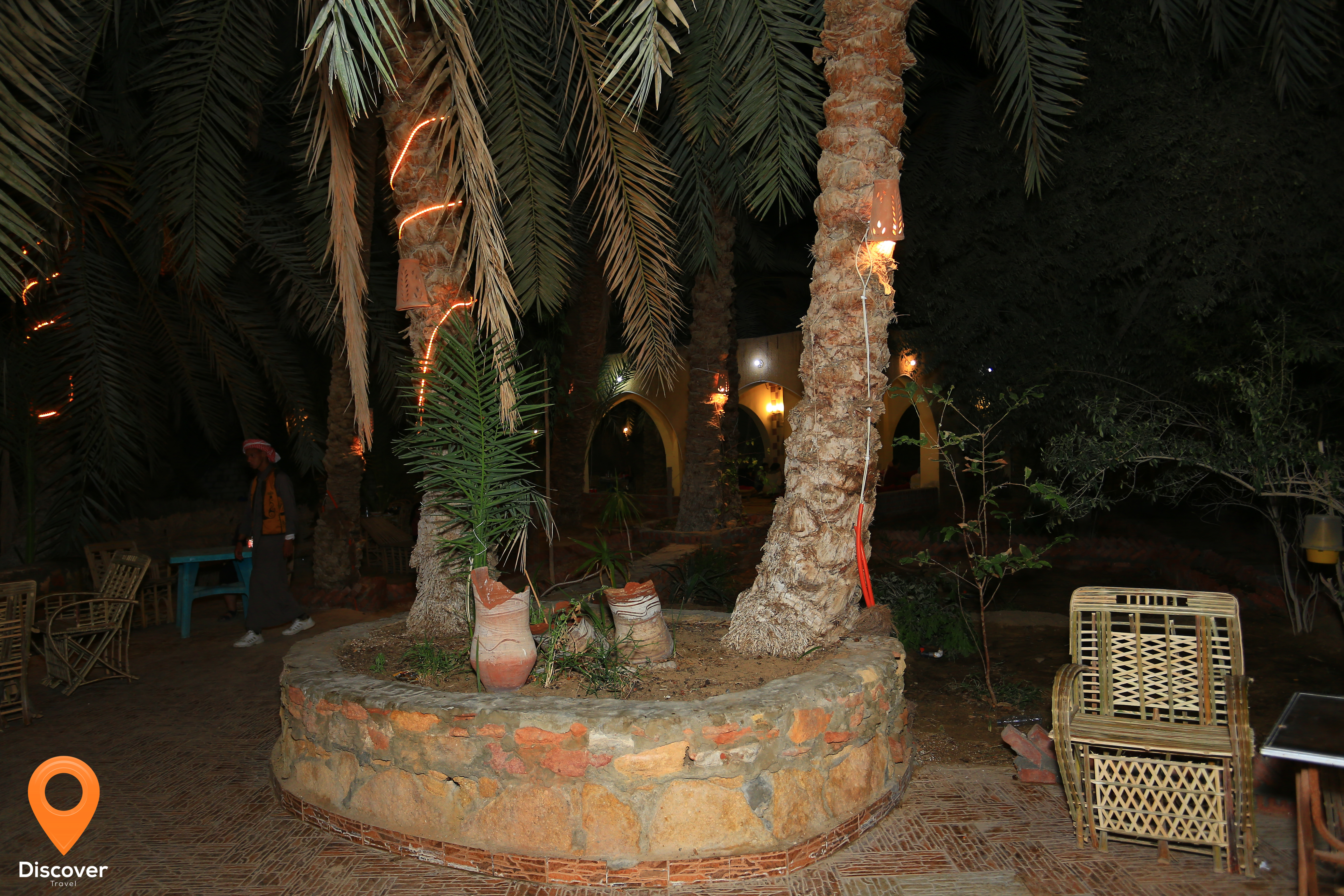 palm